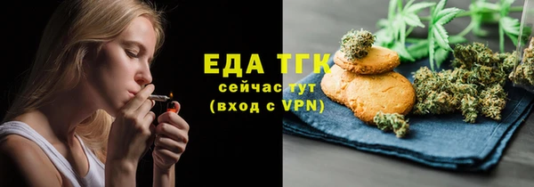 индика Богородицк