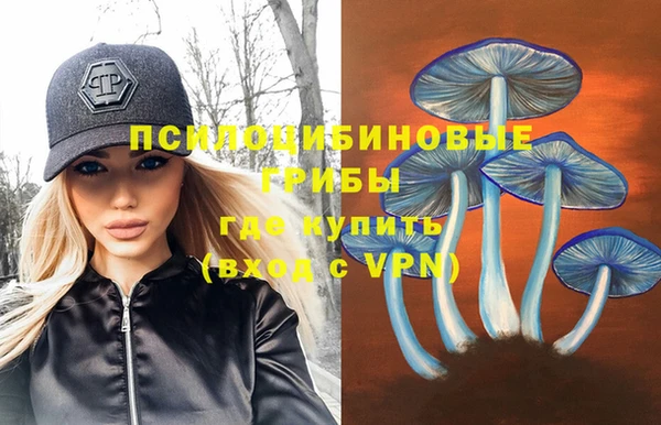 индика Богородицк
