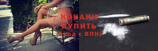 индика Богородицк