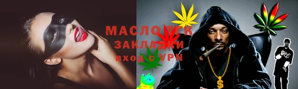 индика Богородицк