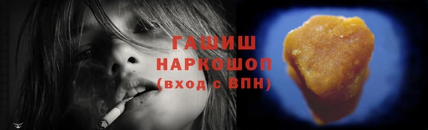индика Богородицк