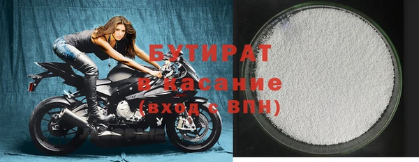 индика Богородицк
