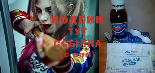 индика Богородицк