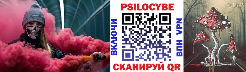 Галлюциногенные грибы Psilocybine cubensis  Кола 